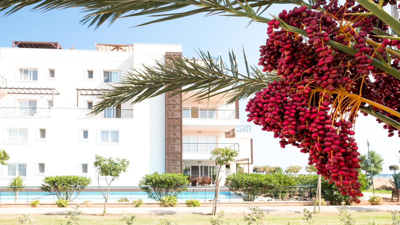 2 Bedroom Apartment, Thalassa Beach Resort, Bafra